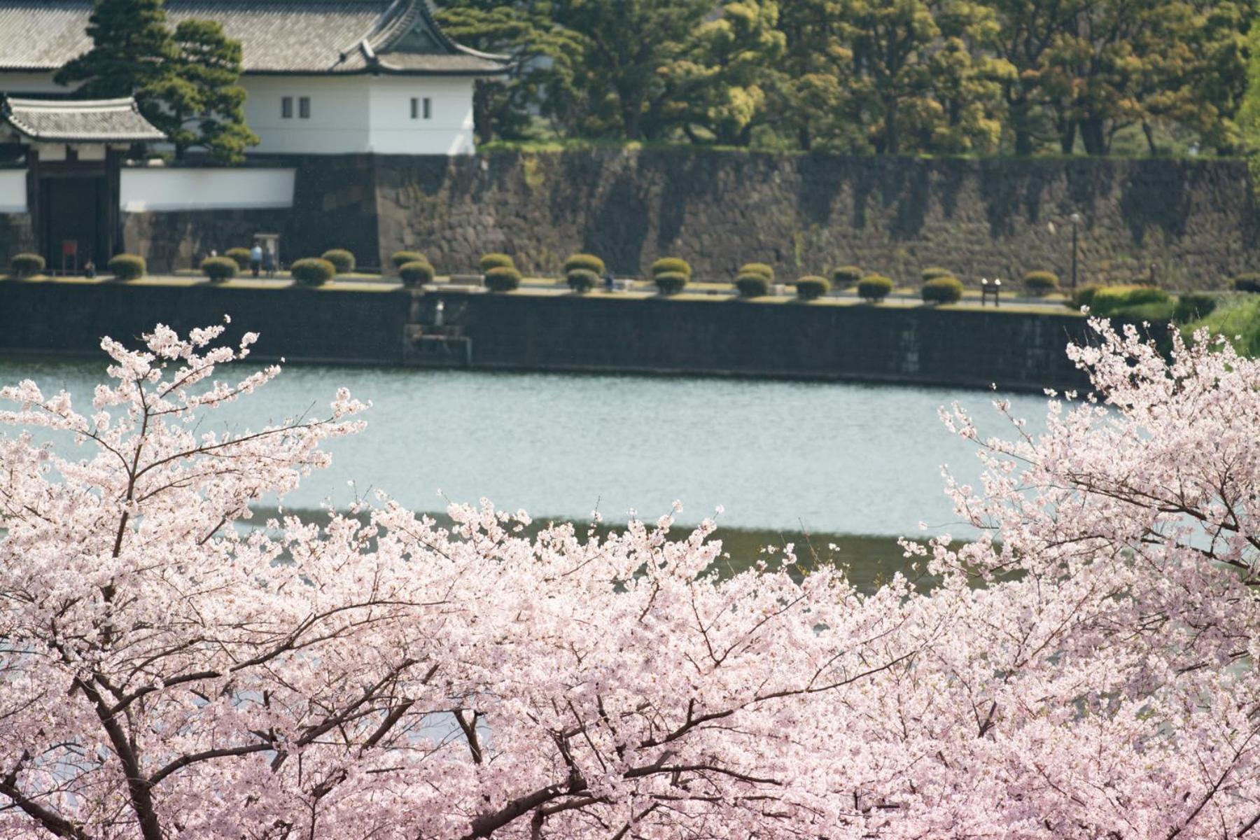Shangri-La Tokyo, Tokyo